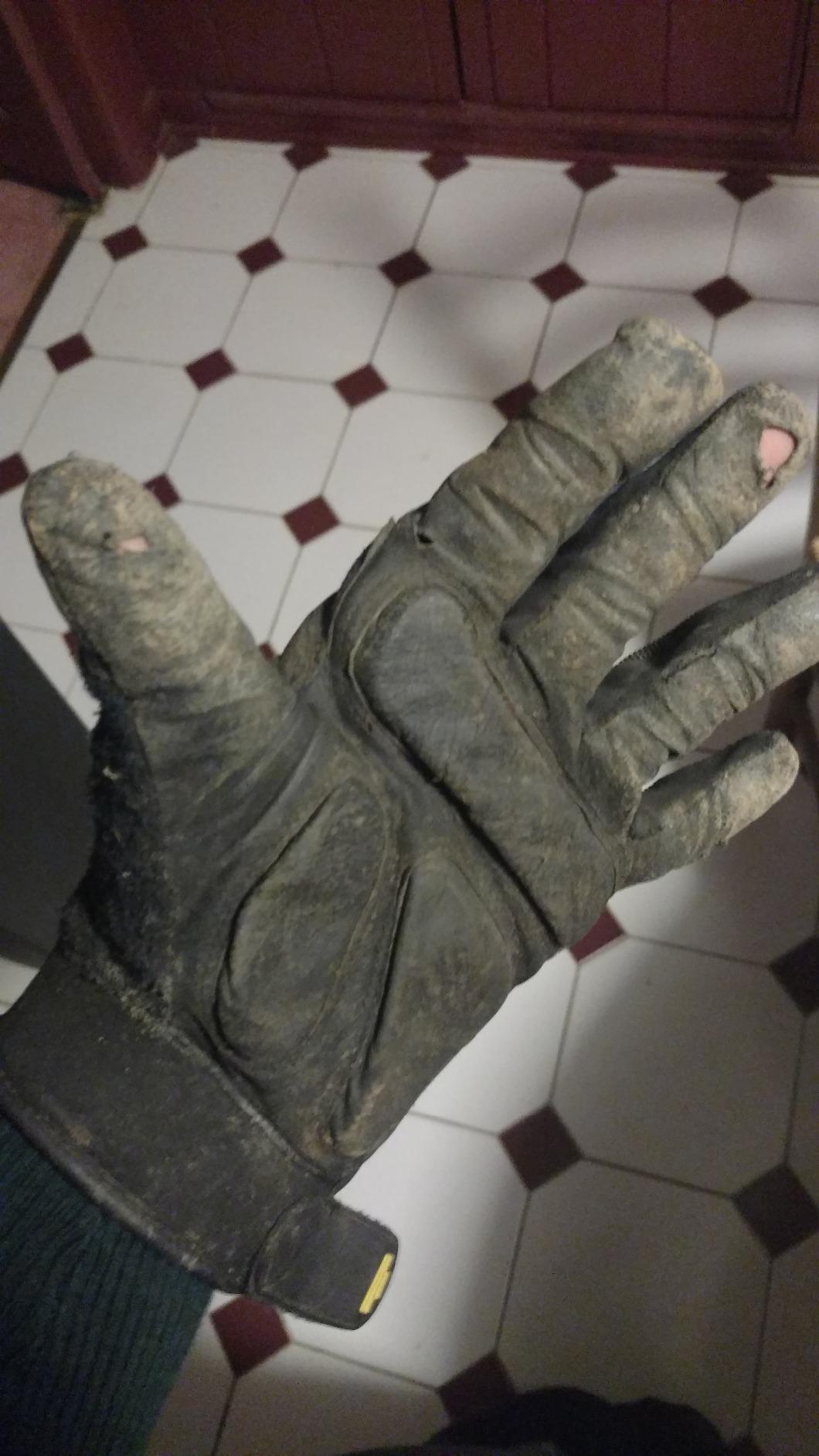 Best gloves I've tried