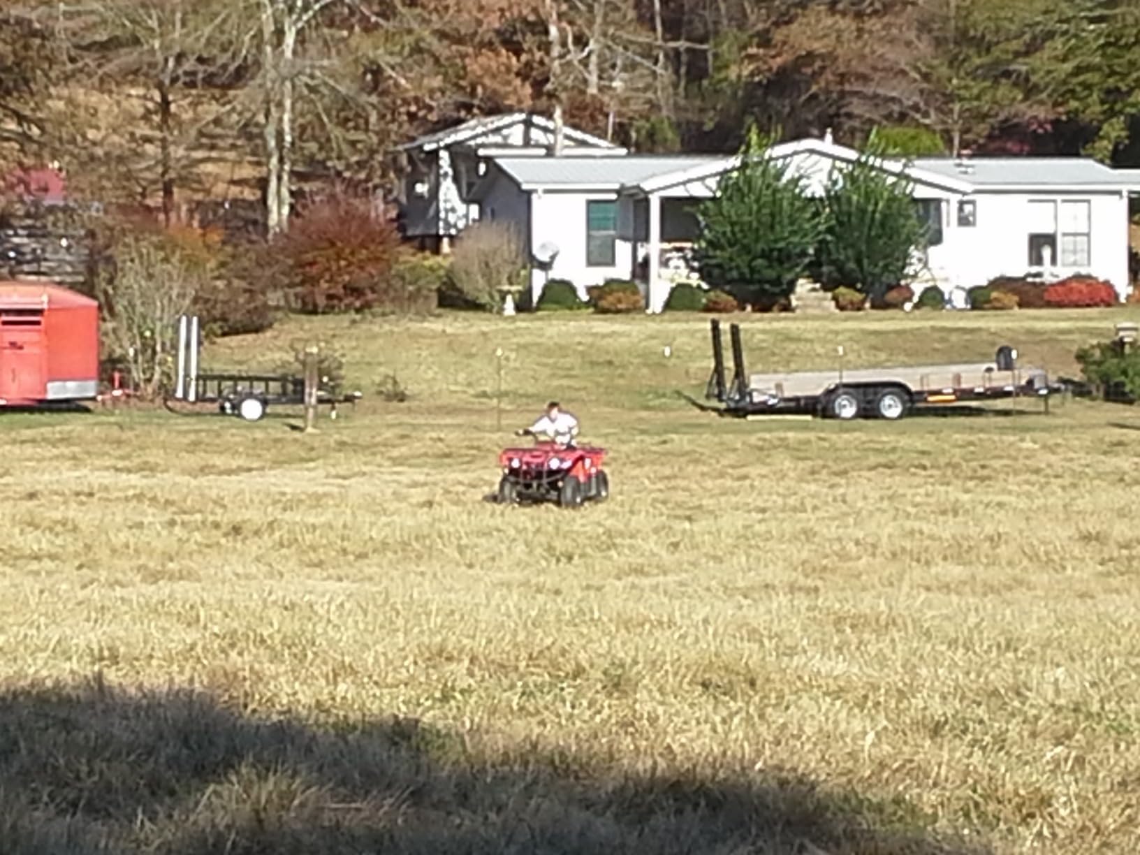 Backyard beast