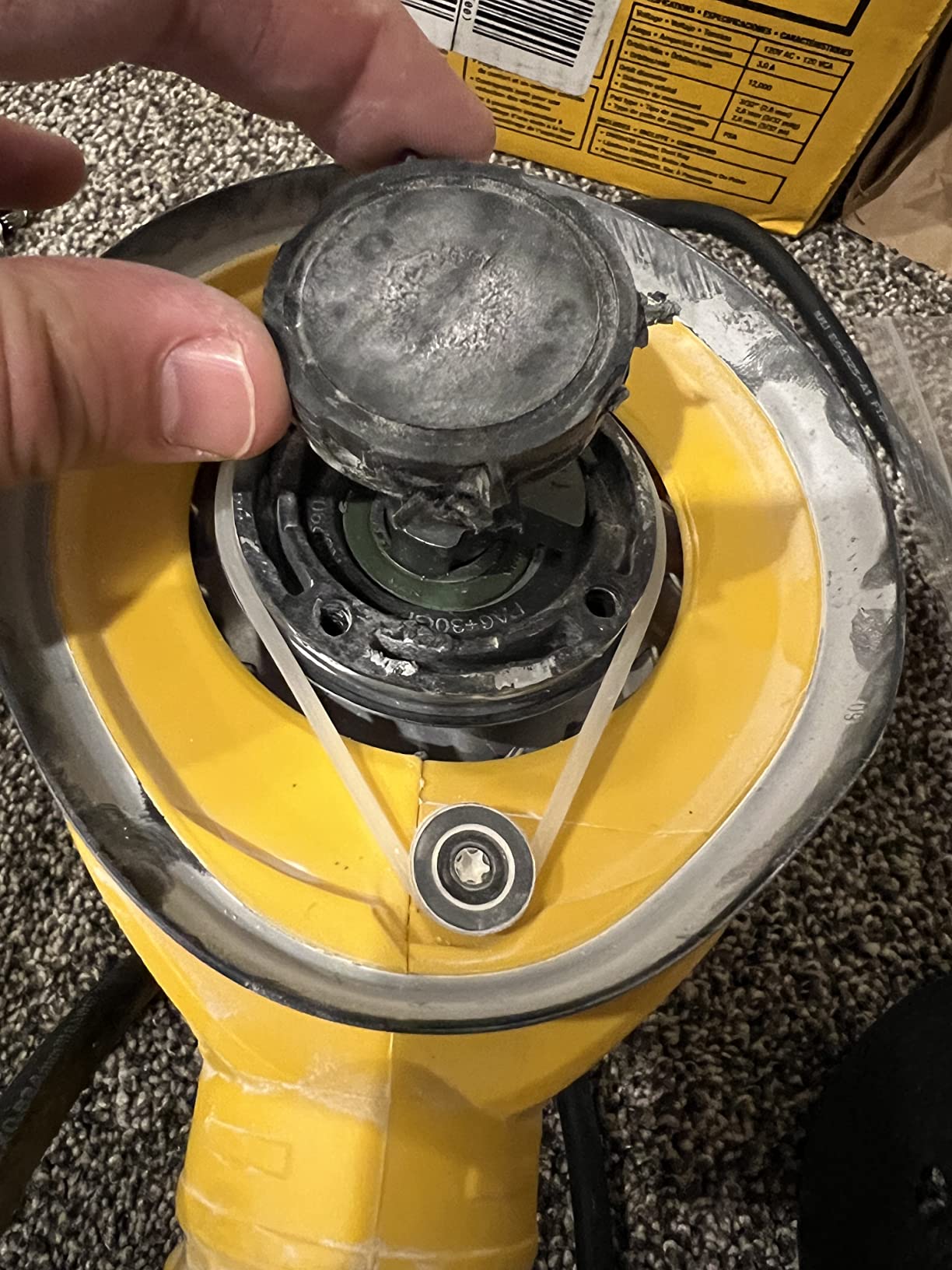 Best sander for the money