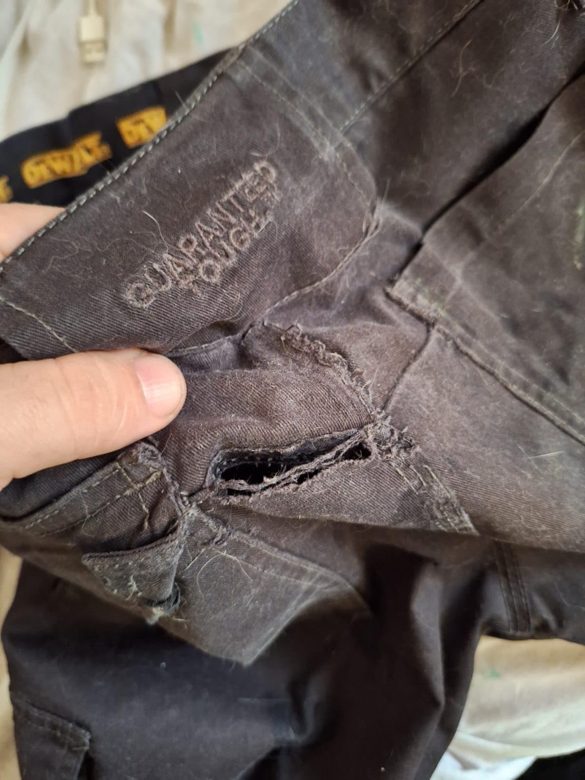 Solid pants