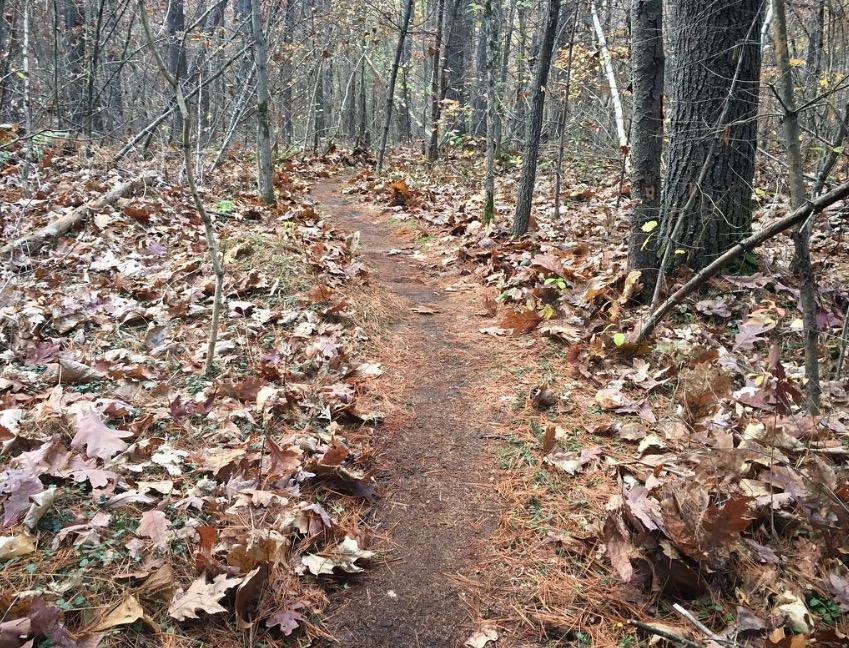 Leaf machine