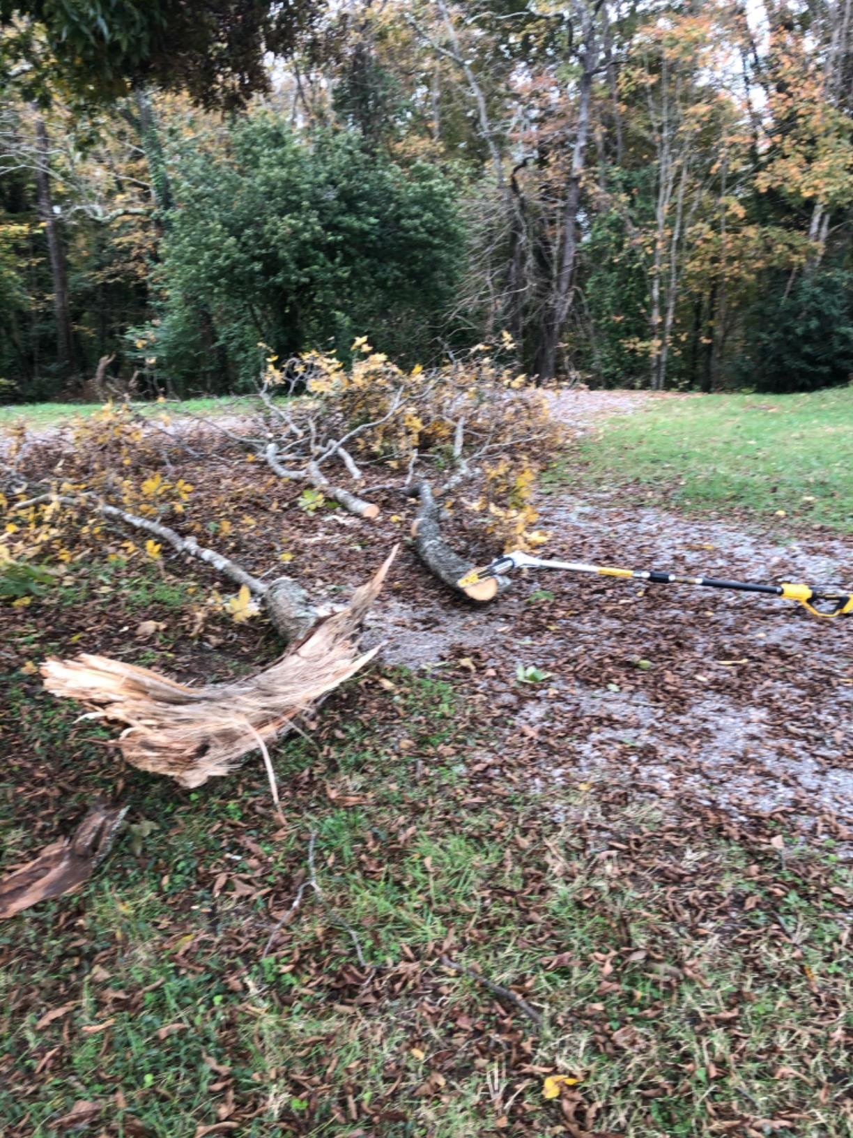 Made yard work easier