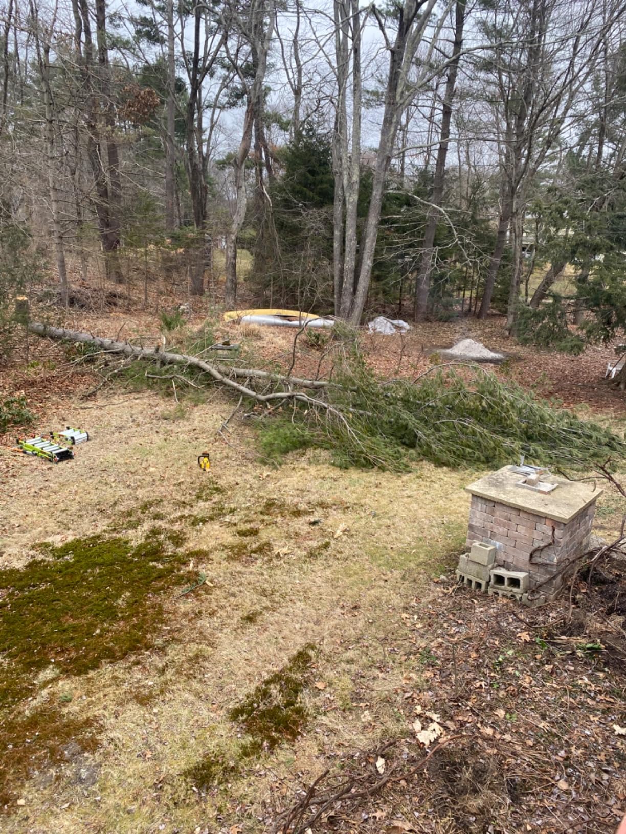 Cuts like a gas saw