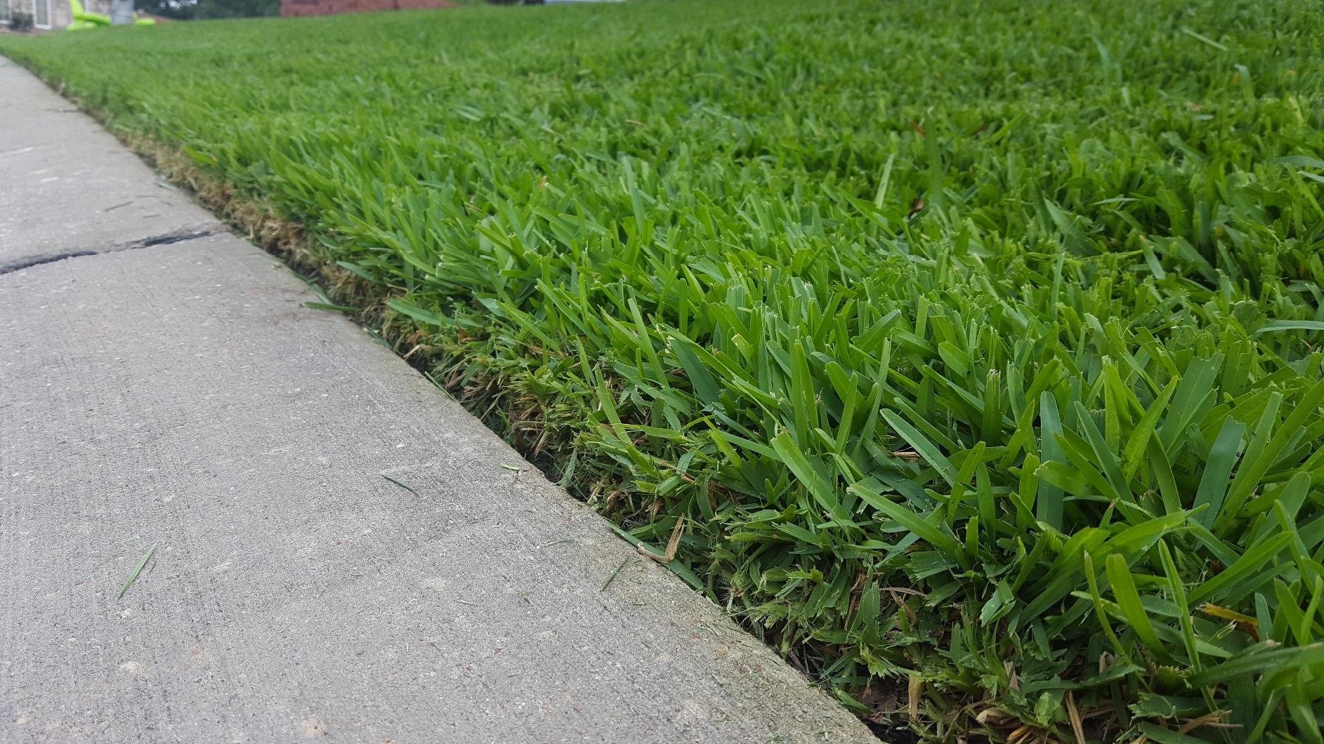 Small yard