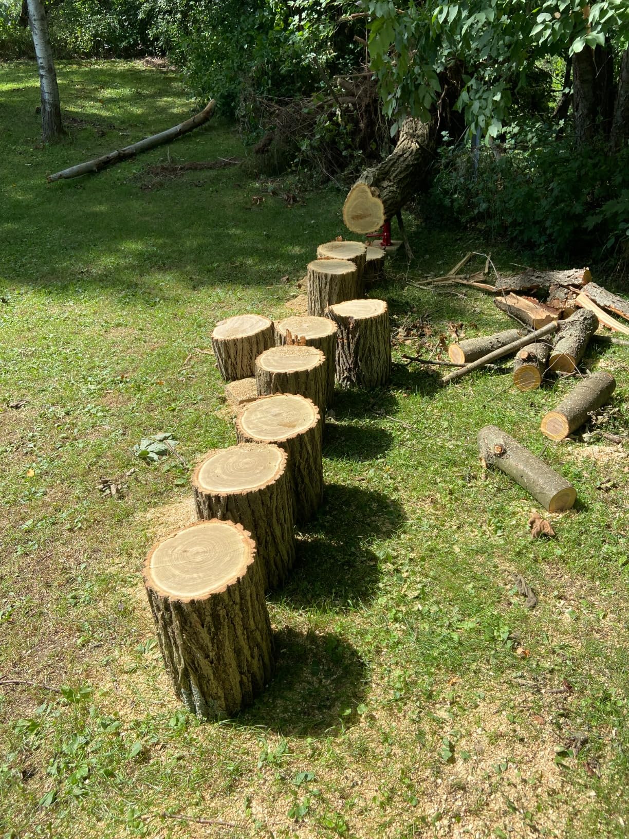 Storm cleanup