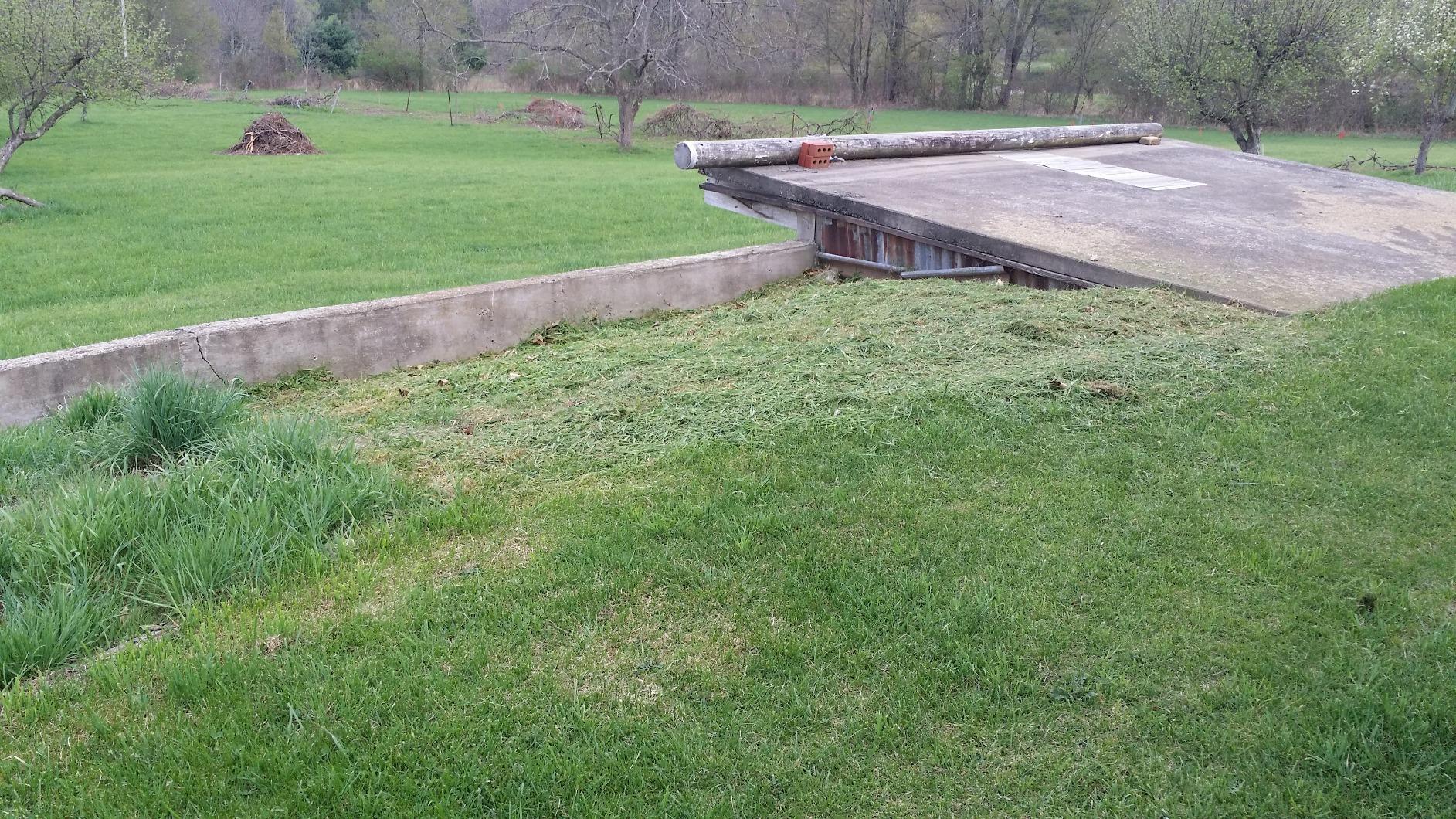 Great lawn